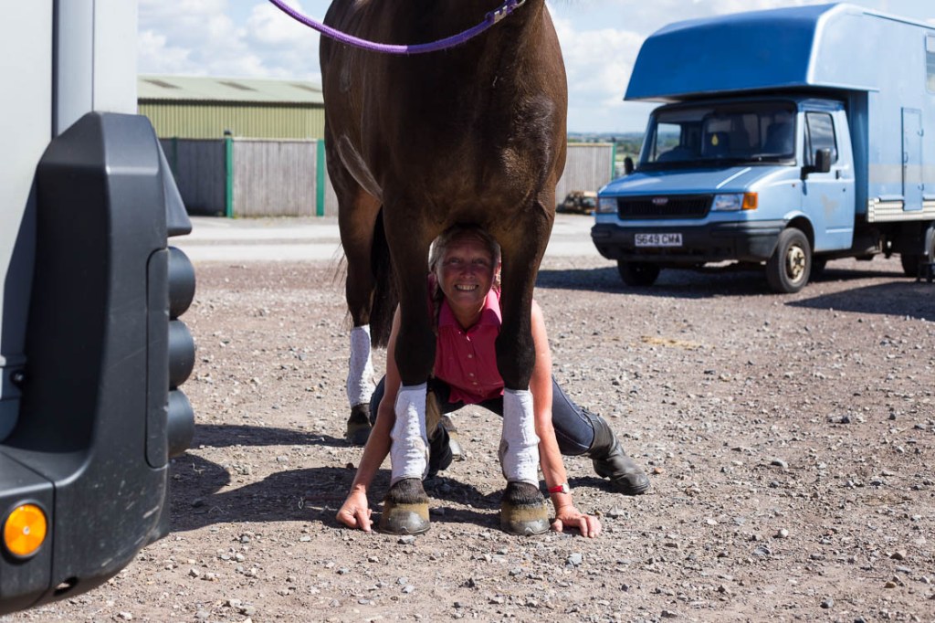 British Horse Society&nbsp;Project