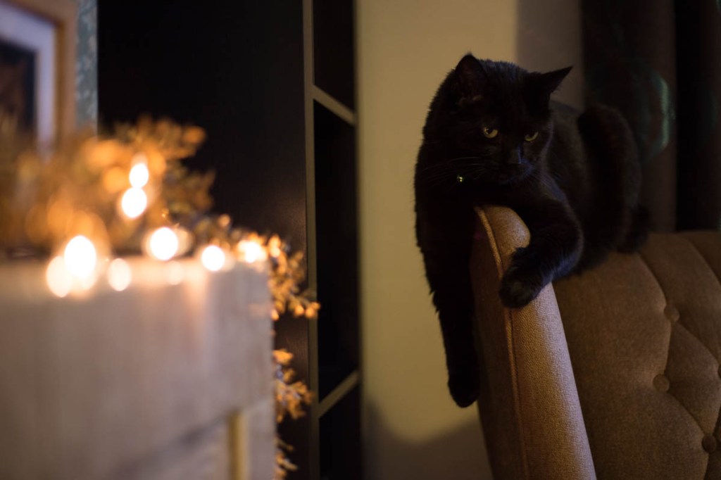 Christmas and the Photography&nbsp;Mojo