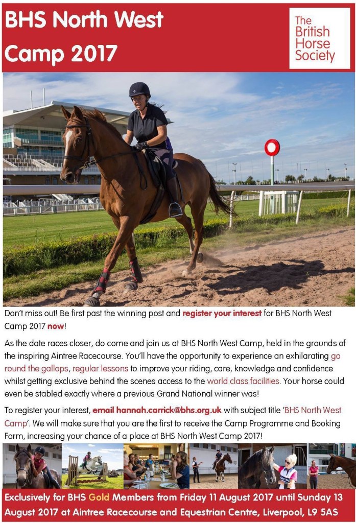 16797191_1486071884759689_7769634021773854764_o