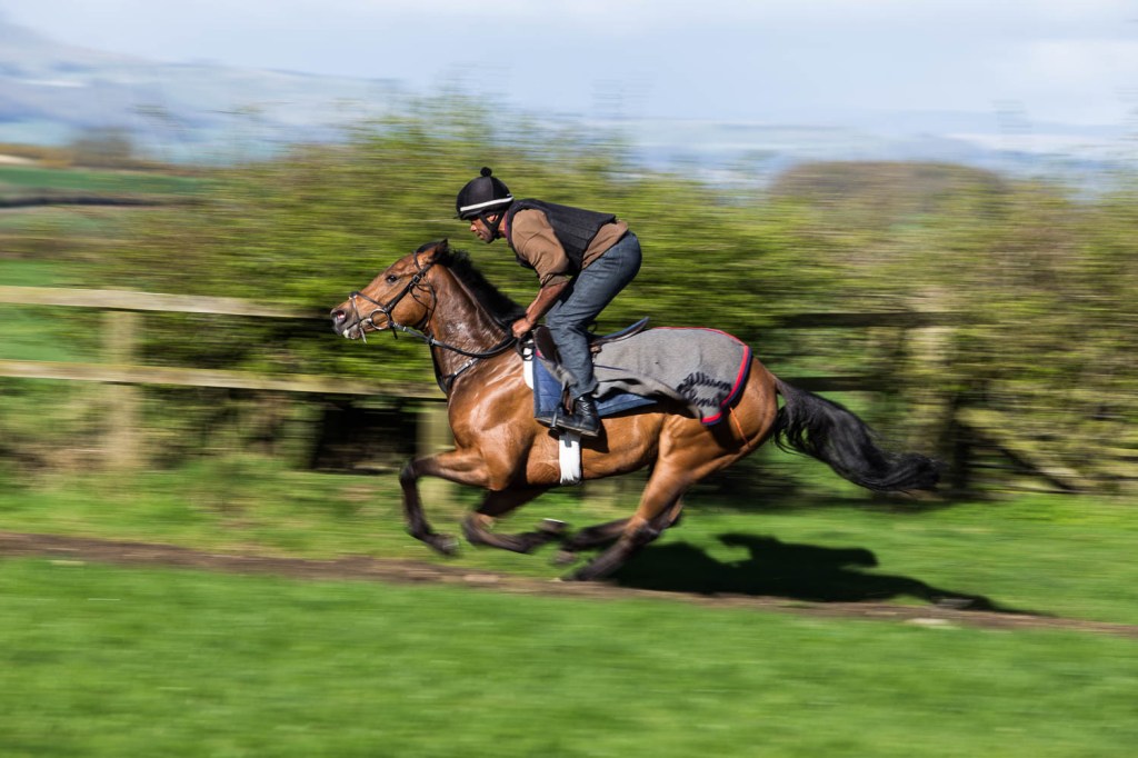 Training for The Races