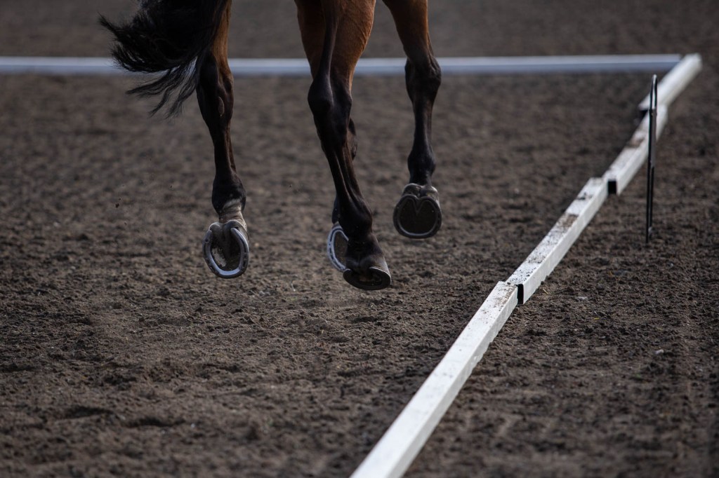 BHS NW Dressage&nbsp;Championship