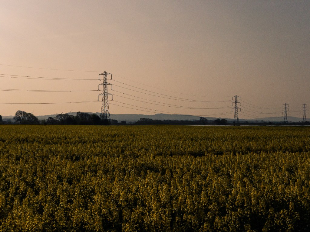 What Type of Fiction I&nbsp;Write