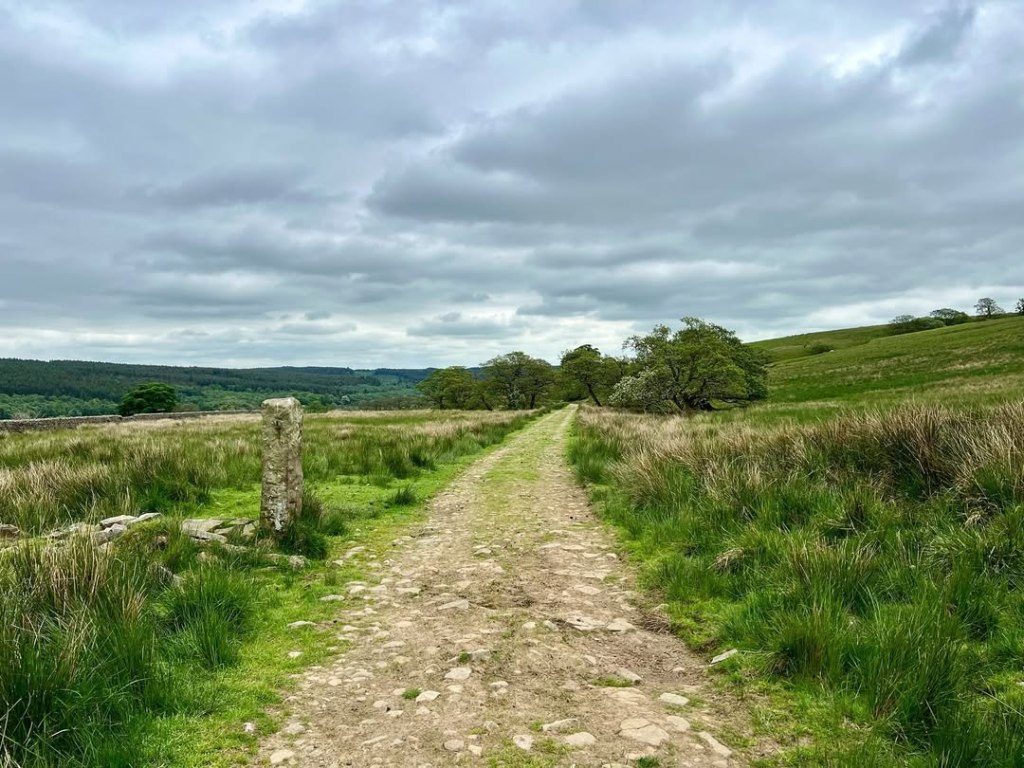 Five Fun and Affordable&nbsp;Activities